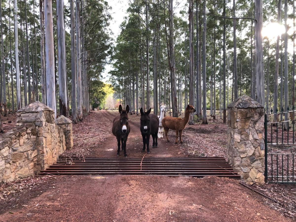 Clover Cottage Country Retreat Manjimup Kültér fotó